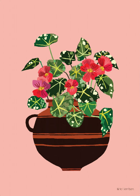 Begonia Art Print - A3 and A4